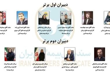 دیدار مدیر صندوق تامین خسارت‌های بدنی با سرپرست بیمه آسیا