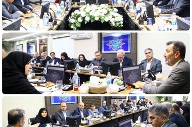 تاکید بر طراحی الگوی ملی بهره‌وری در زنجیره ارزش معدن