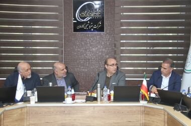 همگرایی دولت و مجلس برای بهبود فضای کسب و کار در صنعت پتروشیمی