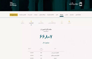 آقای «شیخ» اطلاعات غلط ندهید/ ۷۷ درصد ارز کشور را صنایع مصرف کردند