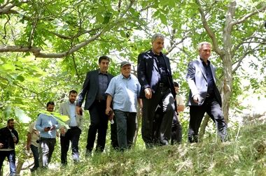 تجلیل شهردار منطقه ۵ از تلاشگران و پیشکسوتان عرصه ارتباطات همزمان با هفته روابط عمومی