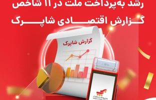 رشد «به‌پرداخت ملت» در 11 شاخص گزارش اقتصادی شاپرک