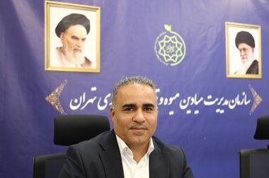 رقابت بیش از 1100 متقاضی برای تصاحب 507 غرفه میوه دستچین و سبزیجات 