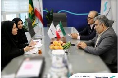  گزارش «راهنمای صنعت بیمه در مورد حسابرسان مستقل»