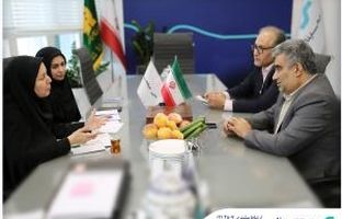 دیدار رئیس پژوهشکده بیمه با سرپرست بیمه سینا