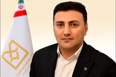 دکتر محمود شایان به سمت عضو هیات مدیره بانک صنعت و معدن منصوب شد