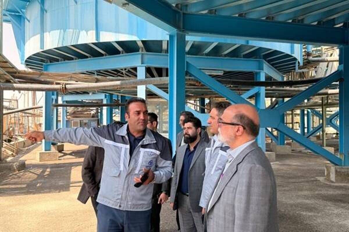 نایب: شرکت‌های شستا برای توسعه پایدار و افزایش توان رقابتی گام بردارند