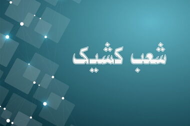 بانک توسعه صادرات ایران؛ پشتیبان صنایع تولیدی و صادرکنندگان