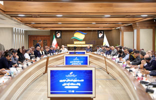 تأکید بر تشکیل انجمن واردکنندگان خودرو پلاک منطقه آزاد انزلی