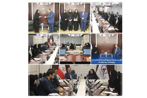 نشست مشترک صندوق تأمین خسارت‌های بدنی و پژوهشکده بیمه ؛ تاکید بر توسعه همکاری ها