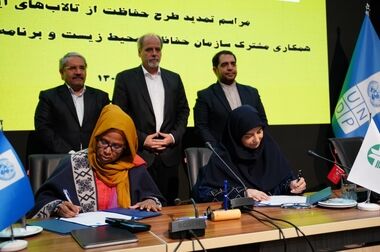 مسئولیت‌های اجتماعی «مبین انرژی خلیج فارس» به بار نشست / ثبت دومین تخم‌گذاری لاک‌پشت زیتونی در نایبند پس از ۱۲ سال
