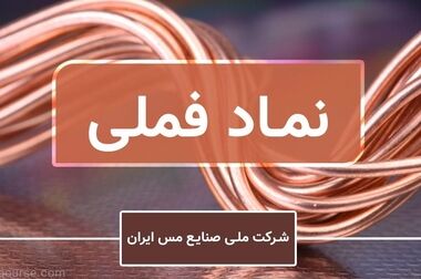 فعالیت باشگاه‌های مس در راستای عمومی کردن ورزش باشد/لزوم راه‌اندازی آکادمی‌های ورزشی در سایر رشته‌ها