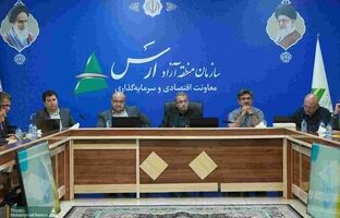 افزایش سهمیه ارزی کالای همراه مسافر ارس و قانونی‌ سازی فروش اینترنتی در دستور کار است