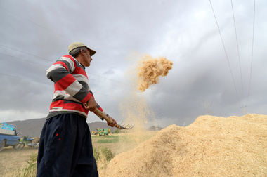 در مسیر تحول دیجیتال آماده همکاری با نوآوران و صاحبان ایده‌های خلاق‌ هستیم