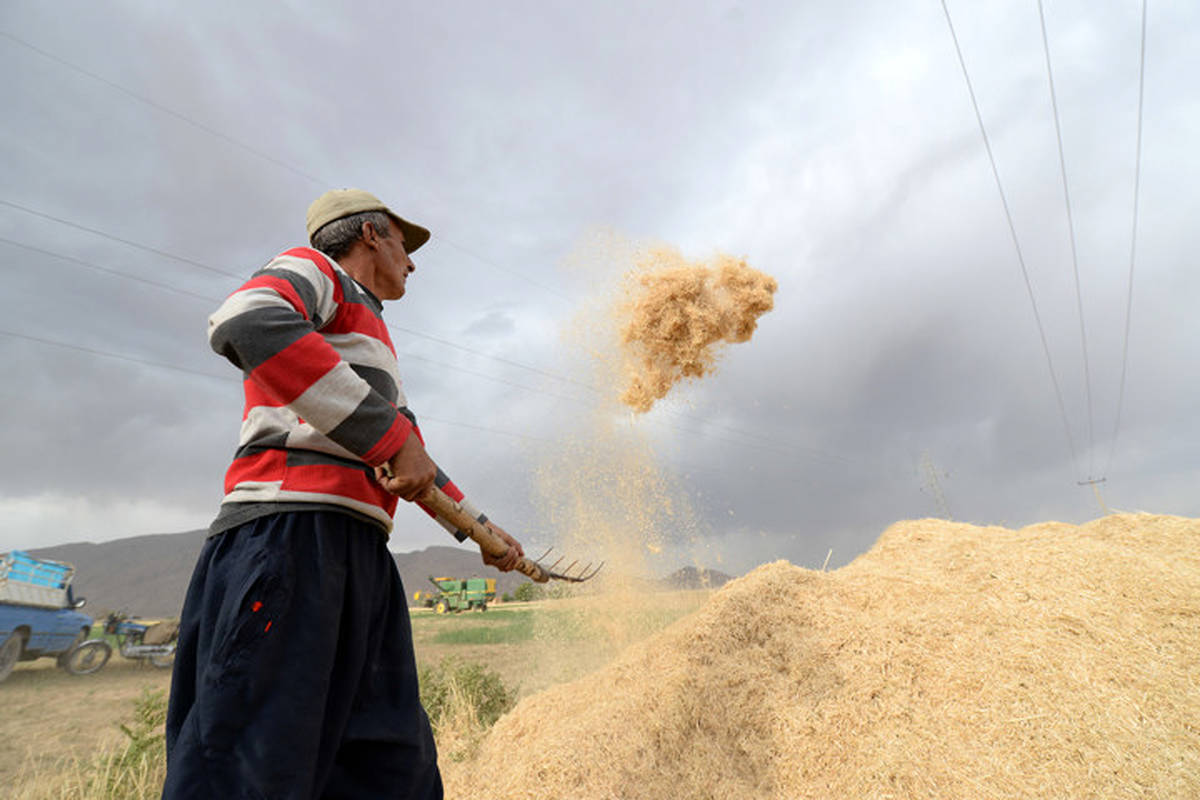قانون کاهش معافیت حق‌بیمه سهم کارفرمایی در کارگاه‌های کشاورزی متوقف نشده است
