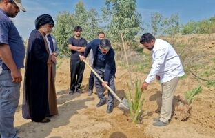  پویش کاشت و وقف ۱۴ هزار نخل در ۶ استان کشور آغاز شد