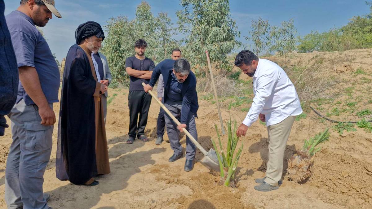  پویش کاشت و وقف ۱۴ هزار نخل در ۶ استان کشور آغاز شد
