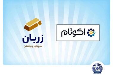 دکتر فرزین: انرژی خورشیدی از مهم‌ترین اولویت‌های رئیس‌جمهور است