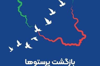 پیام تبریک مدیر عامل بیمه ایران به مناسبت هفته وحدت