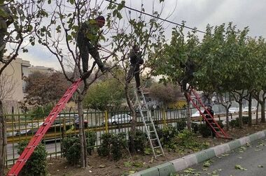 اِلمان حجمی سوره کوثر رونمایی شد