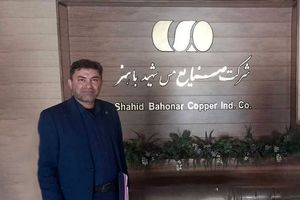 تأکید بانک توسعه صادرات ایران بر حمایت هدفمند از زنجیره تولید و صادرات