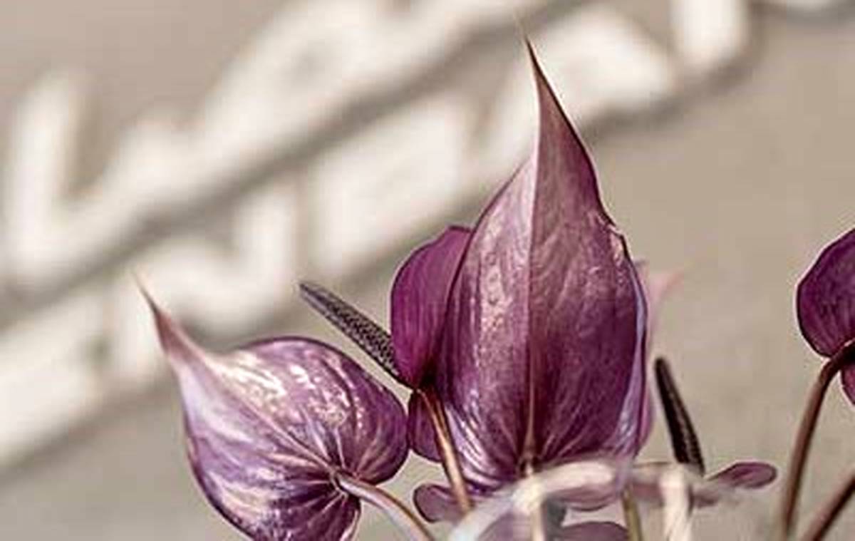 پرداخت ۹۷۳۸ میلیارد ریال تسهیلات حمایتی توسط بانک اقتصادنوین