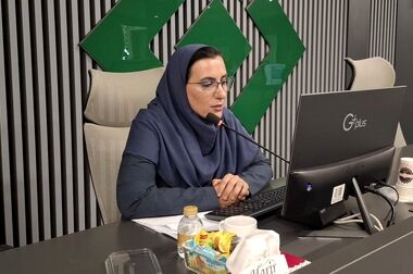 ارزیابی ریسک؛ حلقه اتصال صنعت بیمه و پروژه‌های فراساحلی
