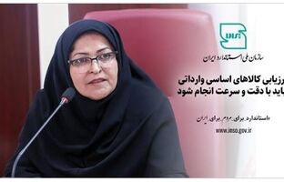 ارزیابی کالاهای اساسی وارداتی باید با دقت و سرعت انجام شود