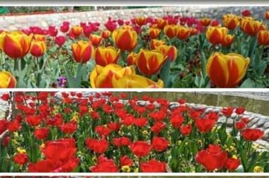 استمرار پروژه‌های عمرانی منطقه ۴ در فصل بهار با اولویت ارتقاء زیرساخت‌ها