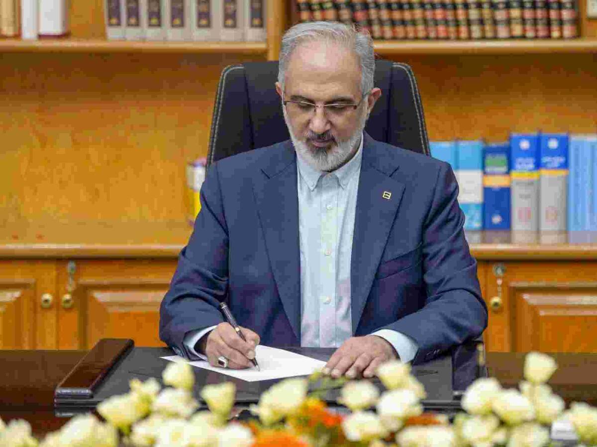 پیام مدیرعامل بانک مسکن به مناسبت فرارسیدن هفته دولت