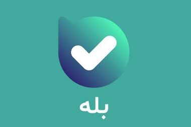 لزوم تسریع در تدوین و اجرای برنامه جامع فناوری اطلاعات