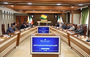 کارگروه پیشگیری از جرایم گمرکی و تجاری در منطقه آزاد انزلی برگزار شد