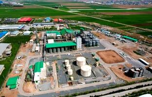 ثبت رشد 280 درصدی تعداد تولید شگستر و شناسایی درآمد 62 میلیاردی