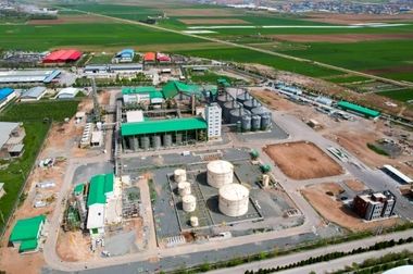 ورود ایدرو به طرح نوسازی و بازسازی صنعت نیشکر کوبا