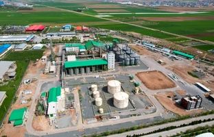 ثبت رشد 280 درصدی تعداد تولید شگستر و شناسایی درآمد 62 میلیاردی