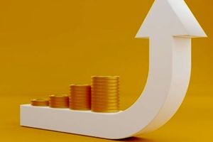 عملکرد موفق شرکت بیمه نوین در نیمه نخست سال بر مبنای آمار و ارقام