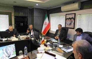 تأکید سرپرست مدیریت عامل بانک سرمایه بر استفاده حداکثری از ابزارهای تعهدی
