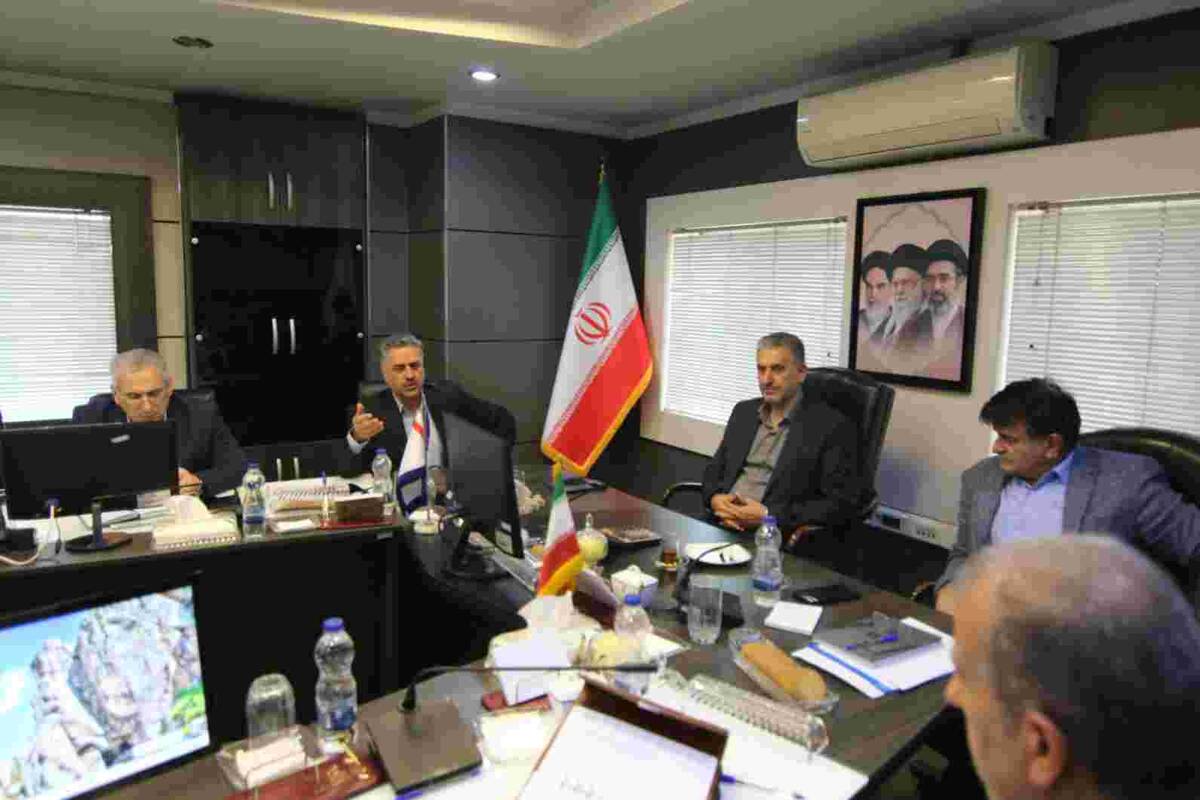 تأکید سرپرست مدیریت عامل بانک سرمایه بر استفاده حداکثری از ابزارهای تعهدی