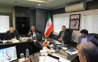 تأکید سرپرست مدیریت عامل بانک سرمایه بر استفاده حداکثری از ابزارهای تعهدی