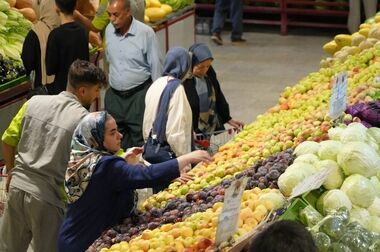 قیمت انواع گوشت بوقلمون بسته بندی و قطعه بندی اعلام شد