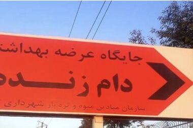 شهروندان نگران نباشد؛ تمامی اقلام مصرفی در میادین و بازارهای میوه و تره‌بار موجود است