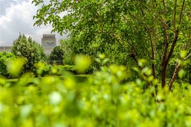 نصف شدن تولید در فولاد مبارکه با محدودیت‌های بی‌سابقه برق