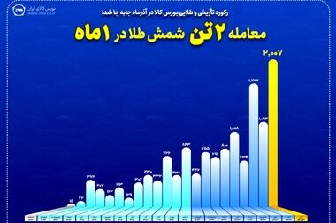 خالص ارزش دارایی صندوق های کالایی از مرز ۱۰۰ همت عبور کرد