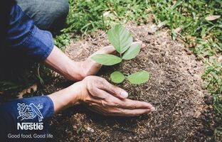 سیر تحول نستله از مسئولیت اجتماعی به خلق ارزش برای جامعه