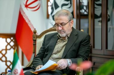 هیچ بحثی در ستاد مبارزه با موادمخدر درباره کشت خشخاش وجود ندارد/ تشریح گروه‌بندی جدید در طرح تحول درمان