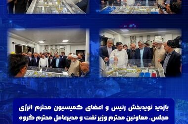 محسن بیگلربیگی به دنبال حل مشکل خوراک اوره سازان