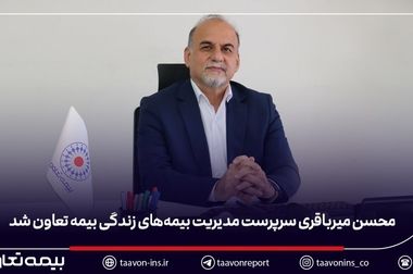 حسین محمودی سرپرست مدیریت امور شعب و نمایندگان بیمه تعاون شد