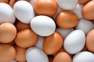 قیمت انواع گوشت مرغ تازه و بسته بندی و قطعه بندی اعلام شد