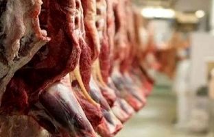 افزایش واردات گوشت قرمز طی روزهای آتی/ کمبودی در ماه رمضان نداریم