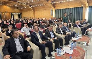 حذف شرط پرتفوی مثبت برای تمدید پروانه شبکه نمایندگان بیمه ایران